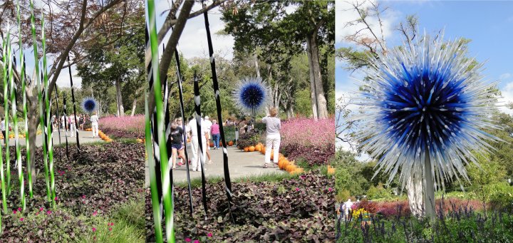 Dallas Star and spiral spears at Dale Chihuly Show at Dallas Arboretum