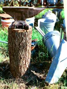 Anvil on pecan stump