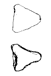 Basic drawing triangle shape