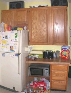 Kitchen, southeast side with frig
