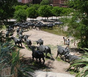 Pioneer Plaza cattle drive from top of hill
