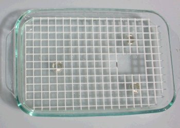 Glass tray table top build - add grid with hole for pump